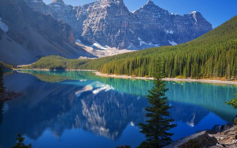 Imagination is Essential for Survival